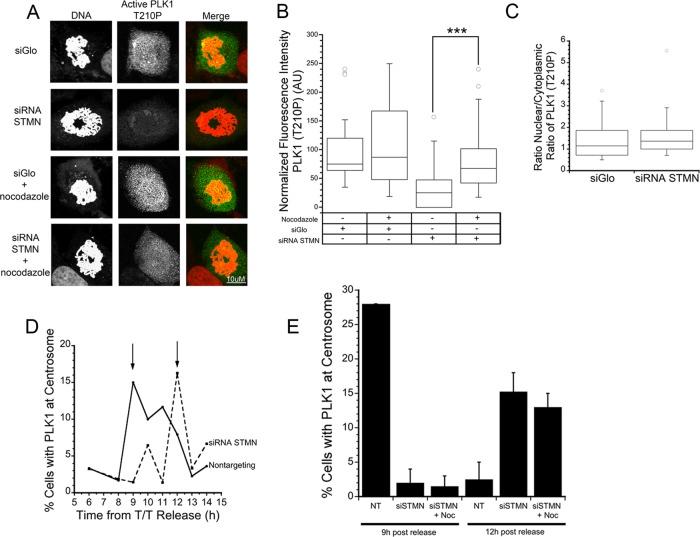 FIGURE 6: