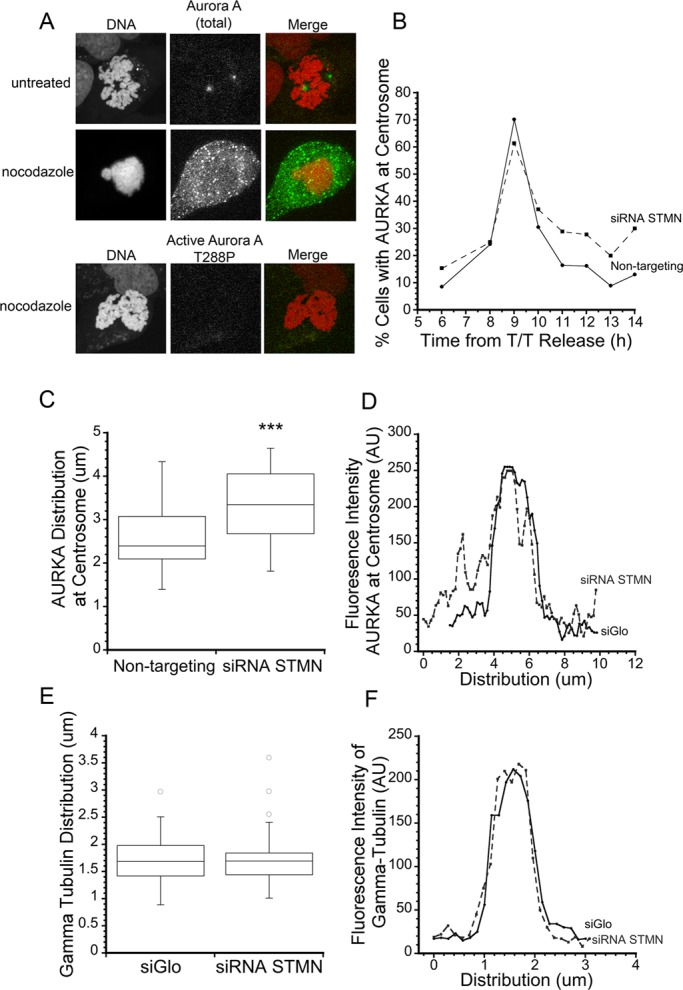 FIGURE 5: