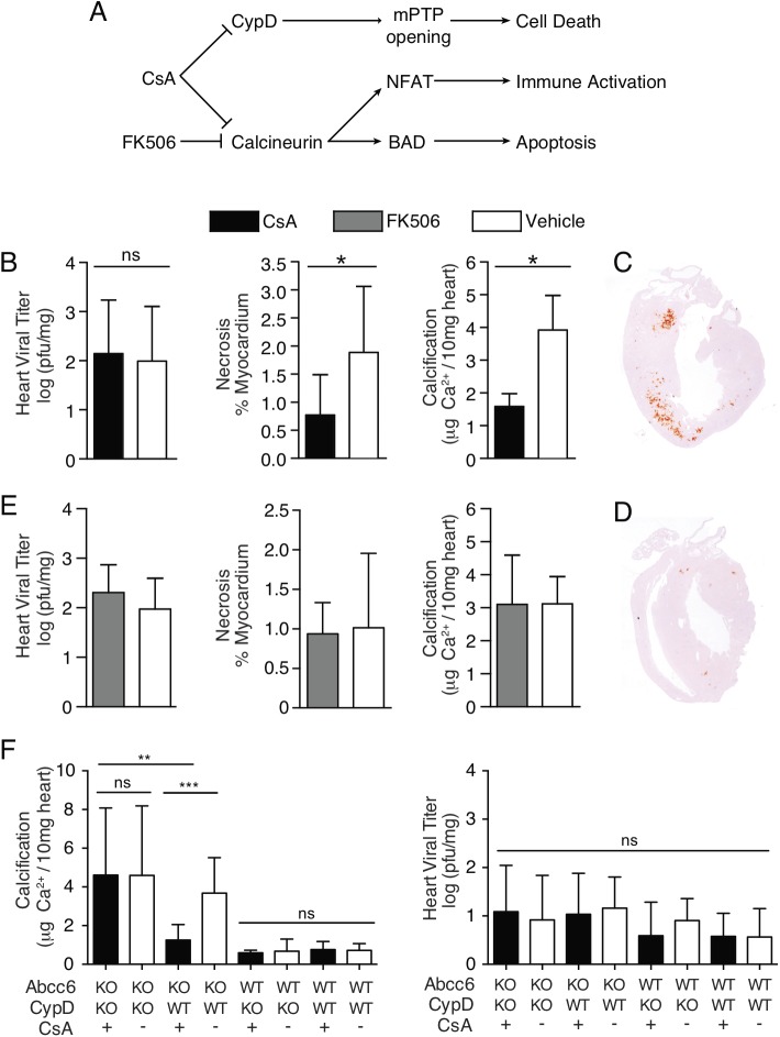 Fig 9