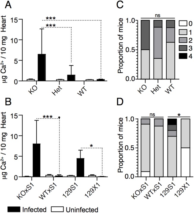 Fig 4