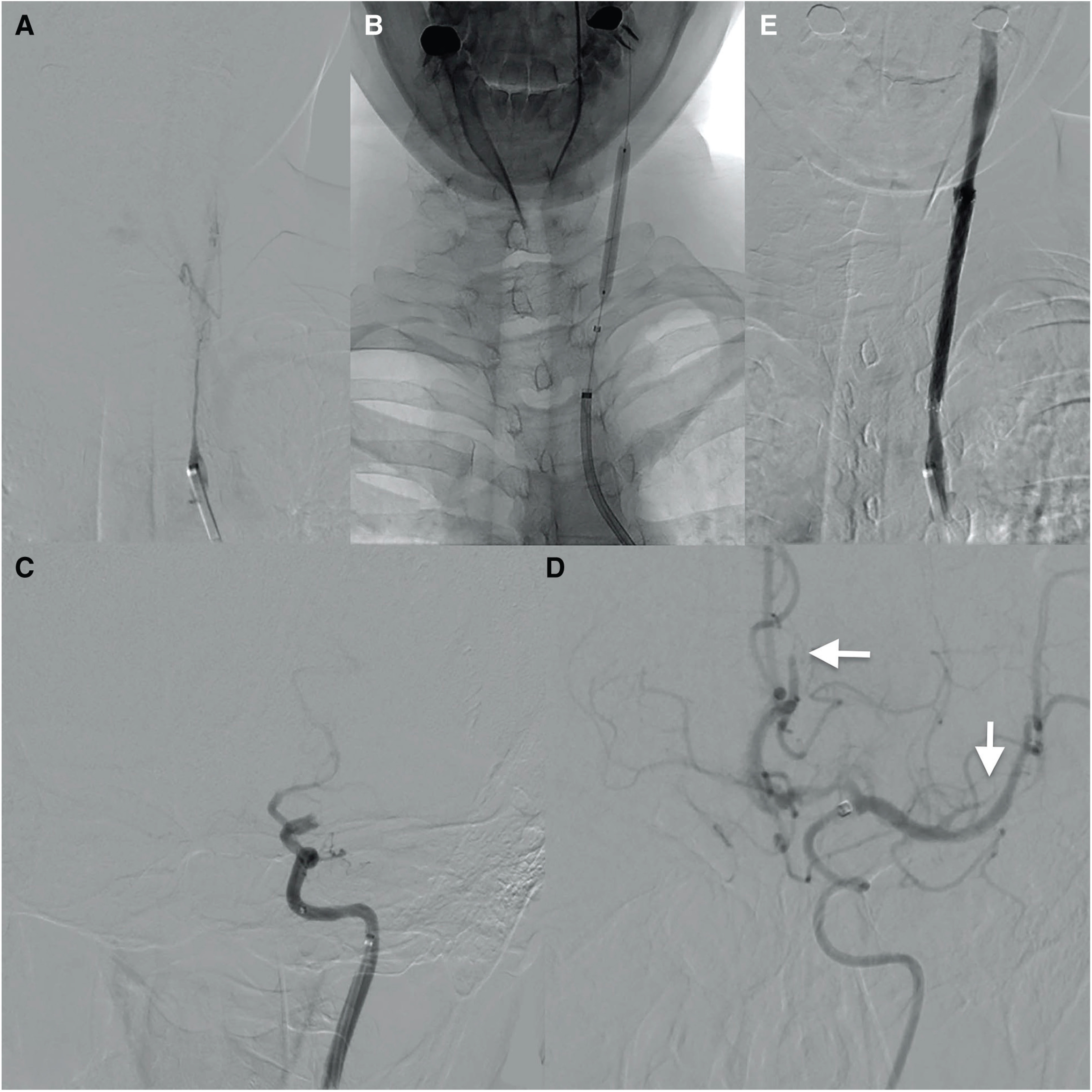 Fig. 5