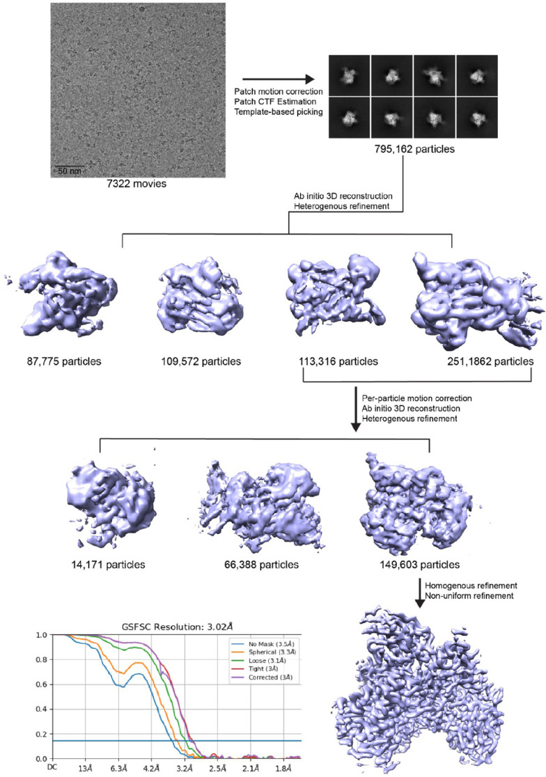 Figure 2—figure supplement 1.