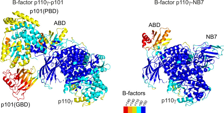 Figure 2—figure supplement 3.