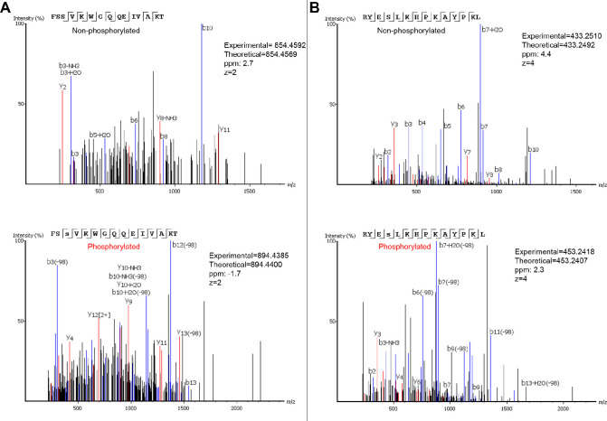 Figure 3—figure supplement 1.