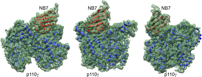 Figure 2—figure supplement 2.