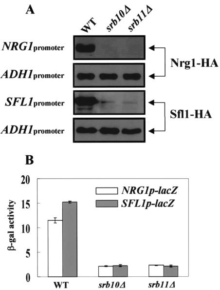 FIG. 6.