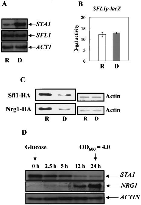 FIG. 8.