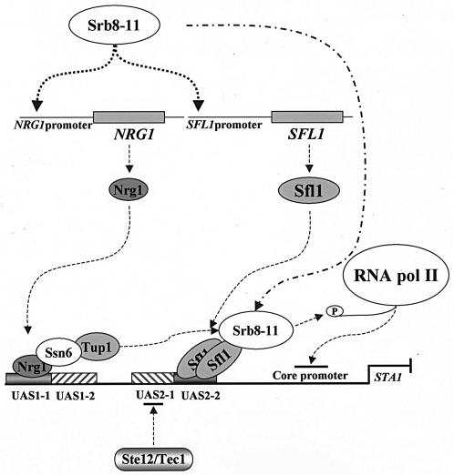 FIG. 9.