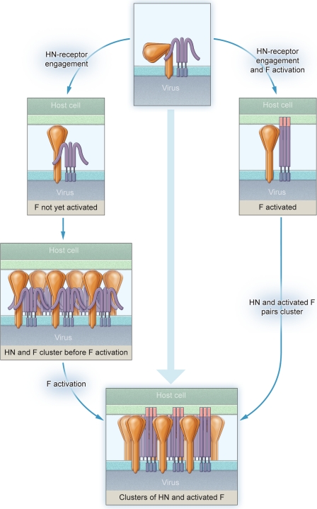 FIGURE 10.