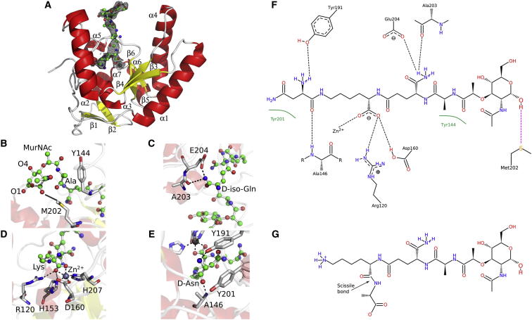 Figure 5