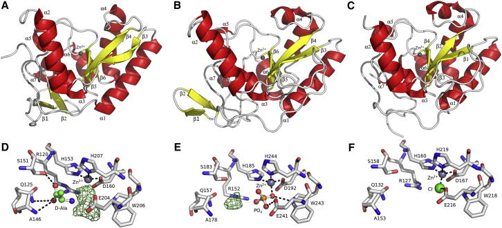 Figure 3