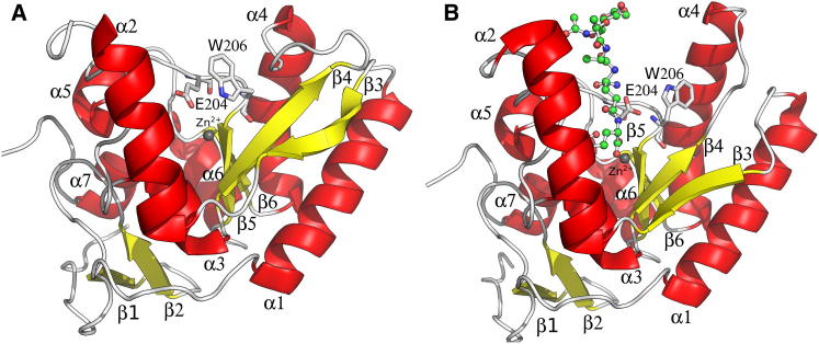 Figure 7