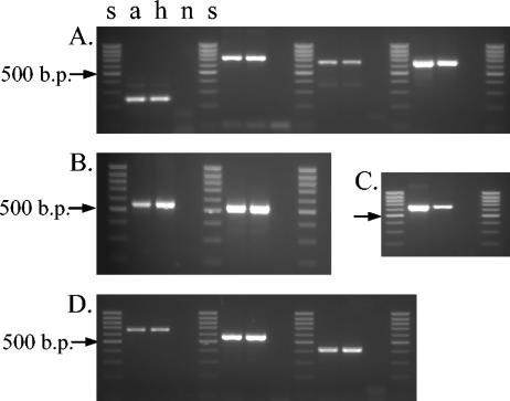 FIG. 5.