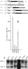 FIG. 5