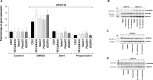 Figure 3—figure supplement 2.