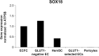 Figure 3—figure supplement 1.