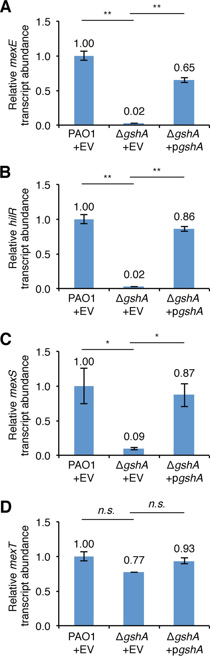 FIG 6