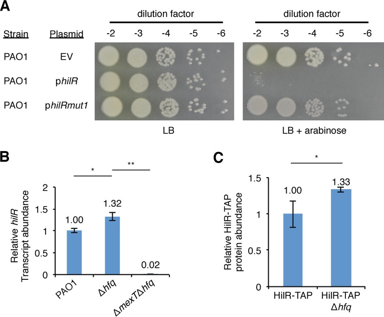 FIG 4