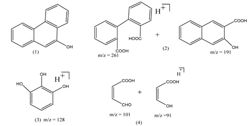 graphic file with name polymers-13-02374-i010.jpg