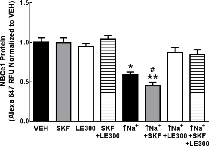 Fig 7