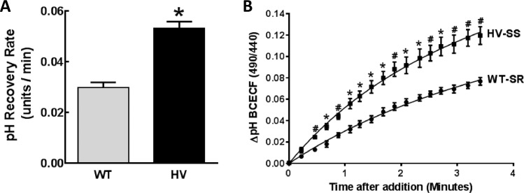 Fig 10