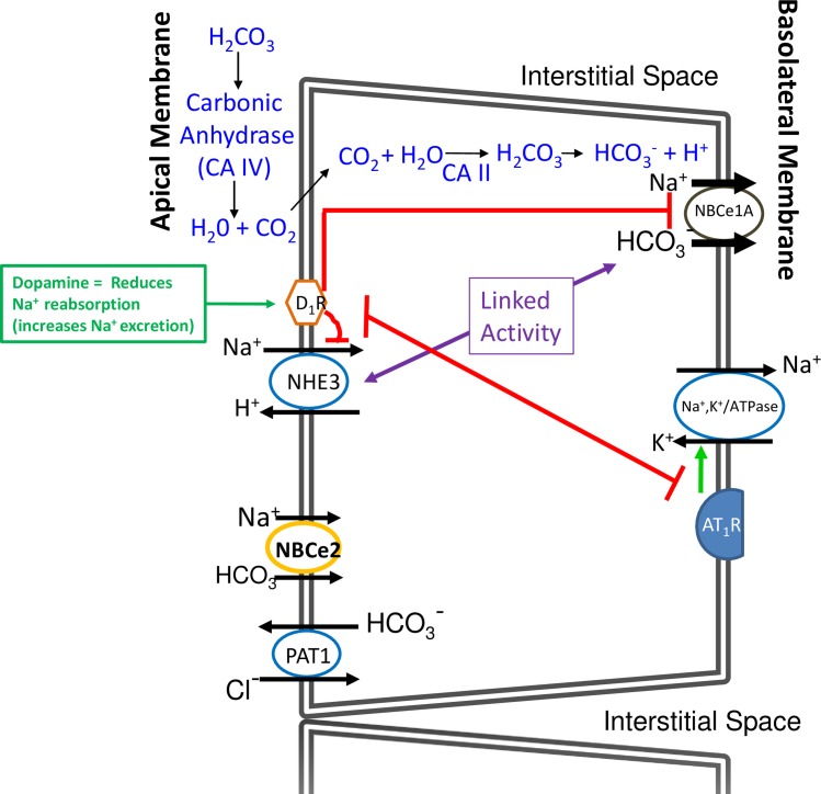 Fig 16