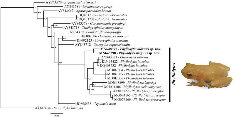 Figure 7