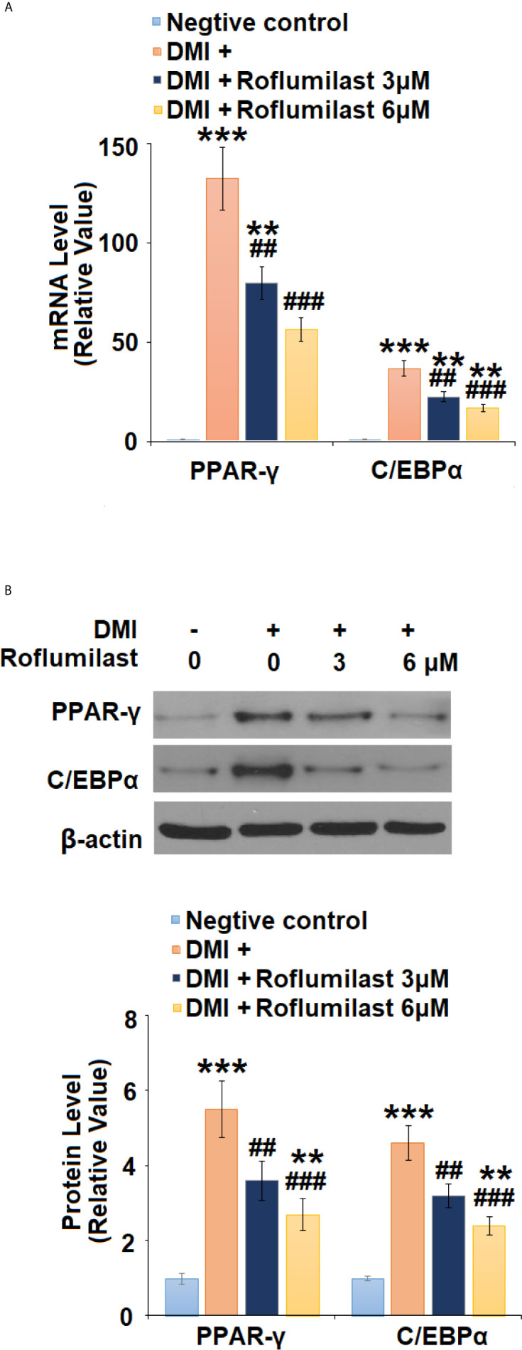 Figure 5