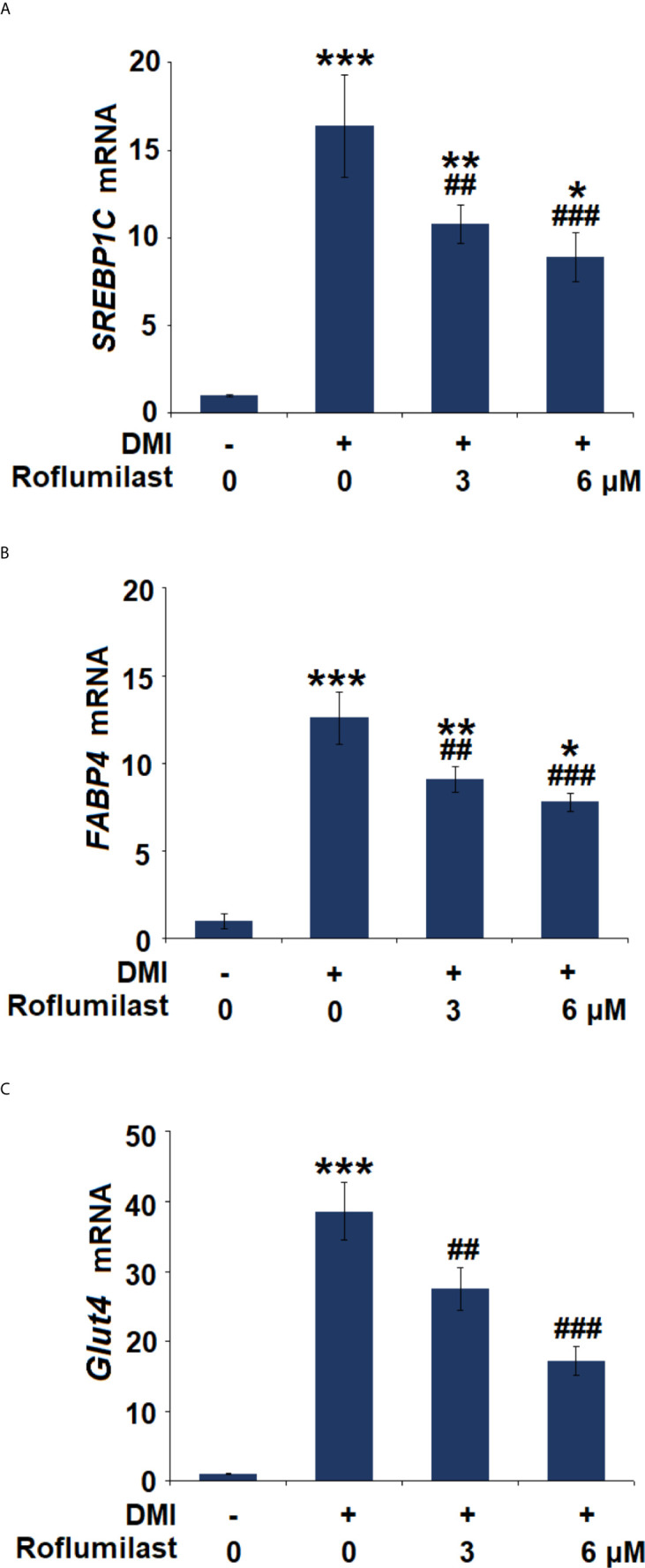 Figure 4