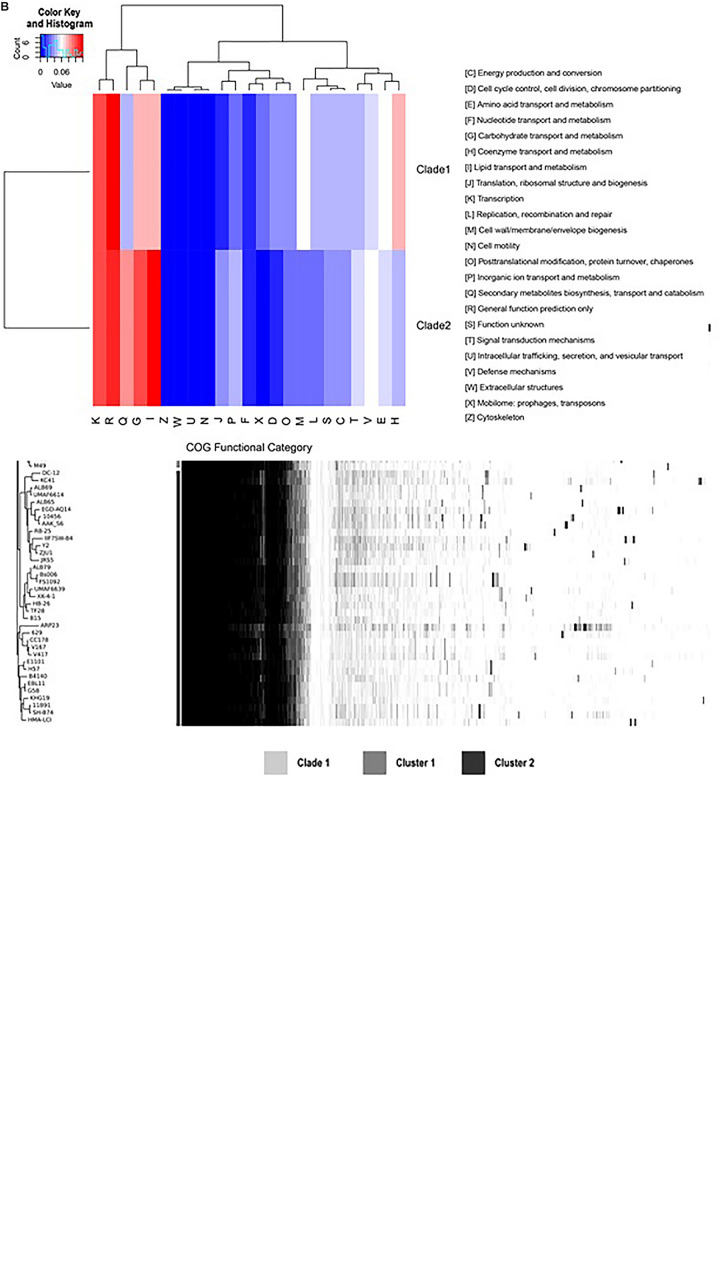 FIGURE 4B