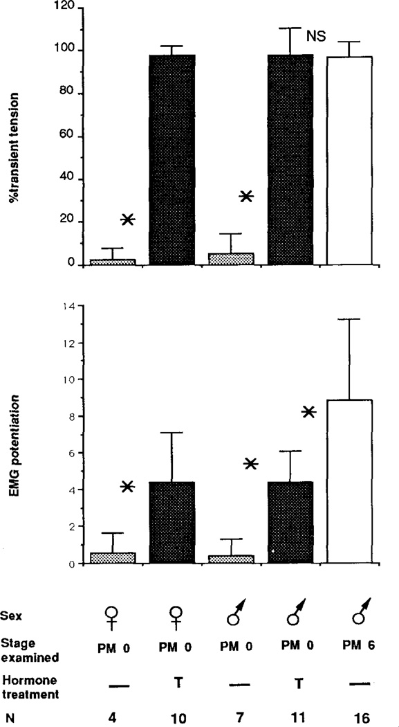 FIG. 6