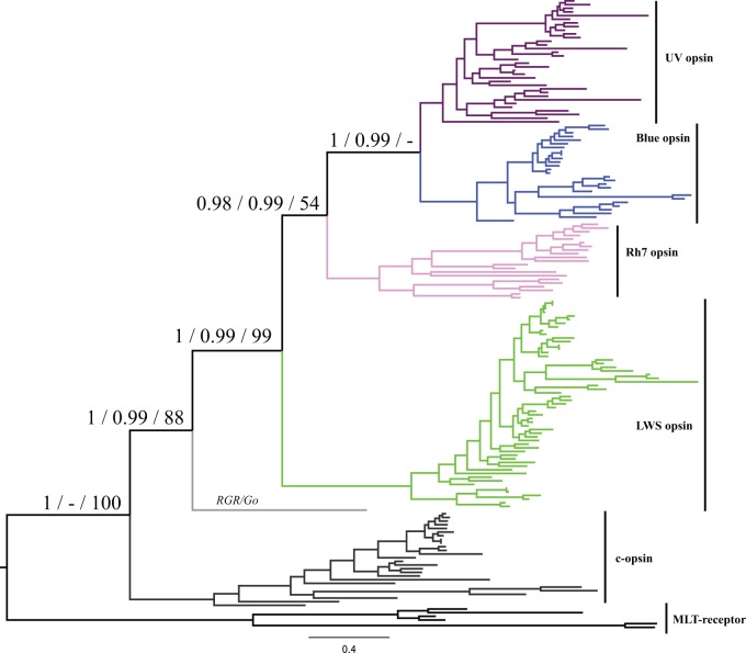 Fig. 1.—