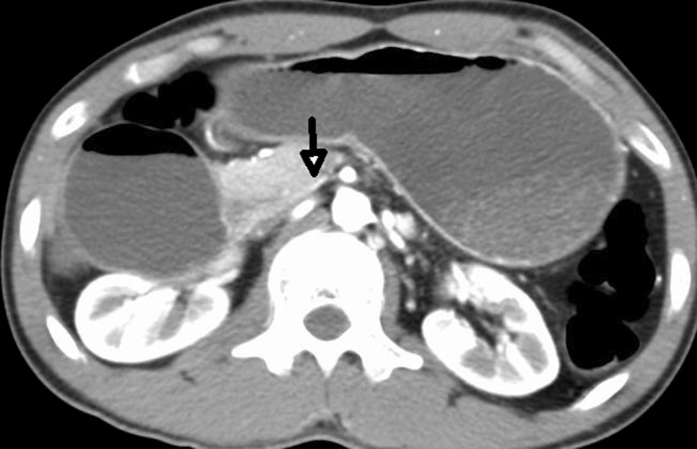 Fig. 8