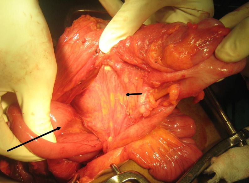 Fig. 3