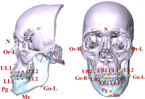 Fig. 6