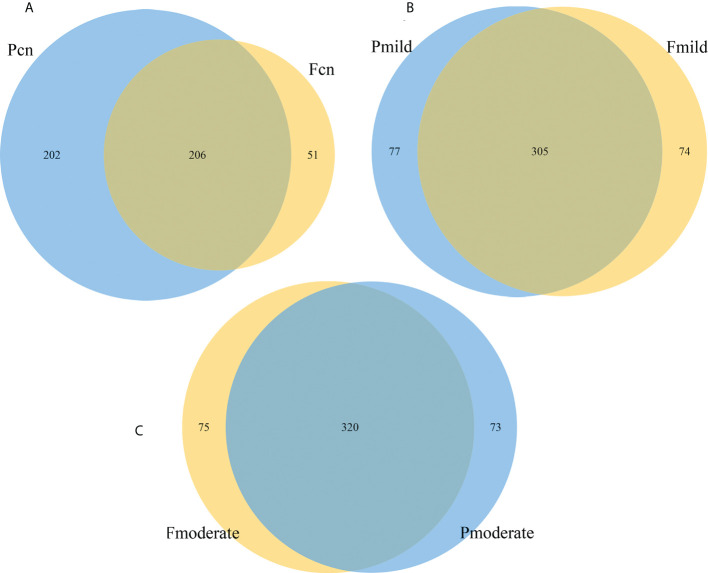 Figure 7