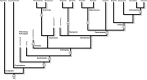 A schematic tree of the main panarthropod groups mentioned in the text, with the major evolutionary events related to tagmosis mapped on the tree.
