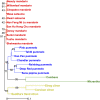 Fig 6