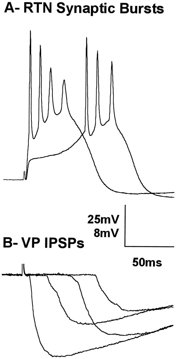 Fig. 9.