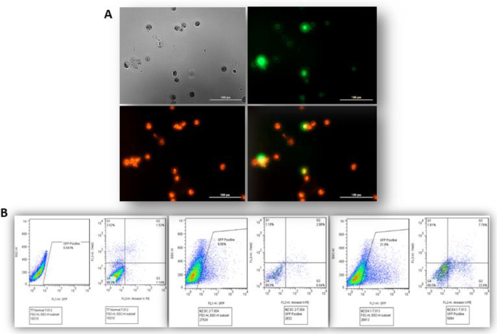 Fig. 7: