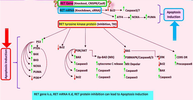 Fig. 8: