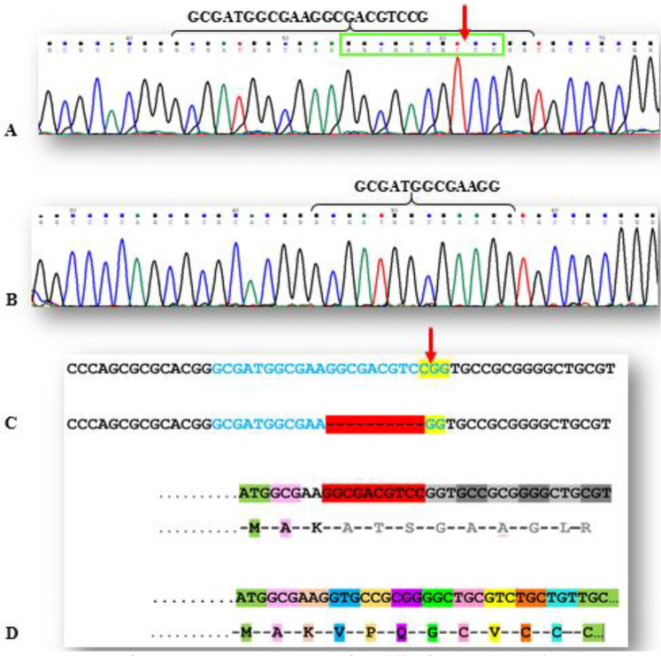 Fig. 2: