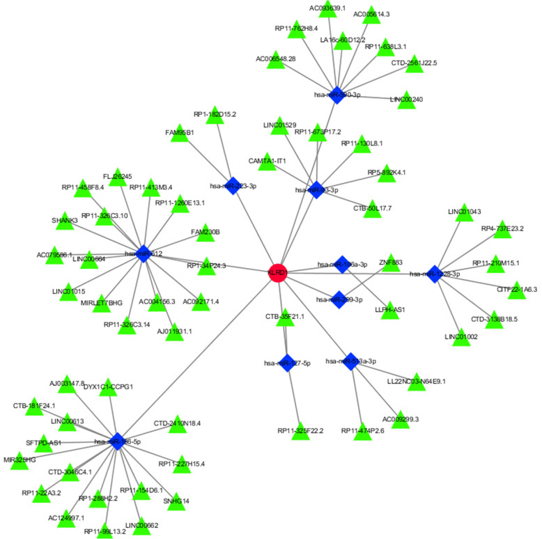 Fig. 10