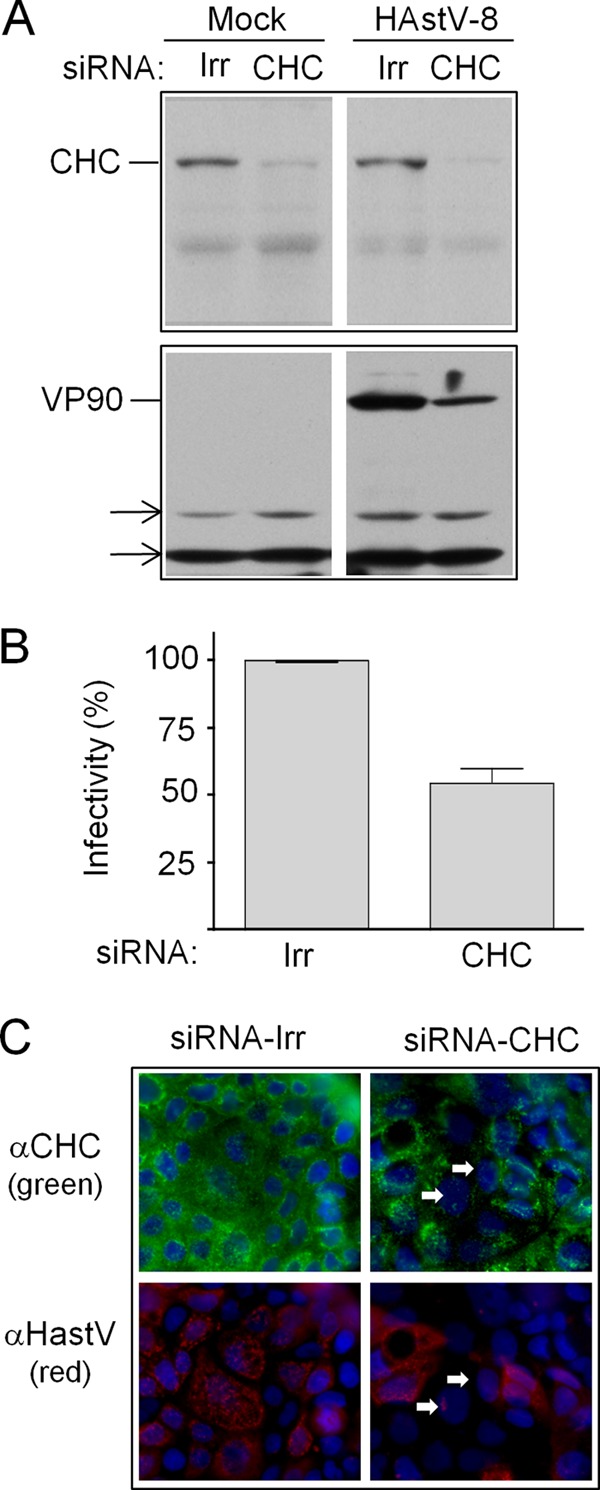 FIG 4