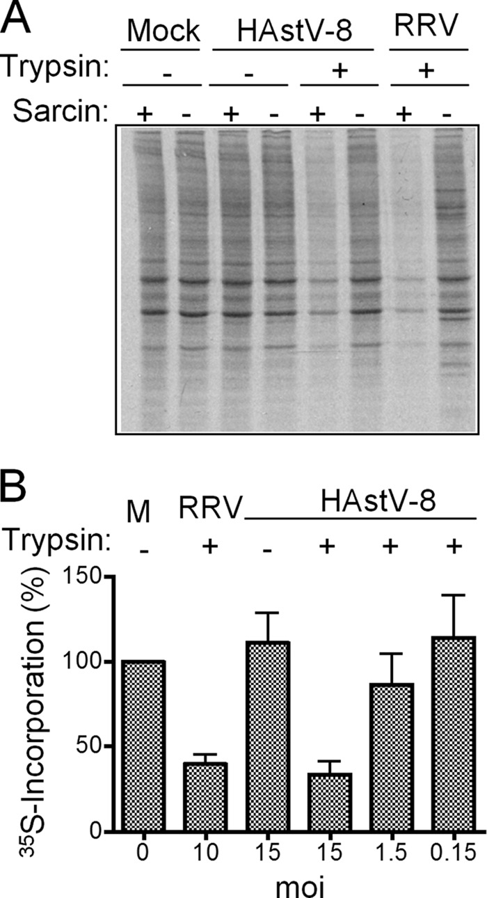 FIG 2