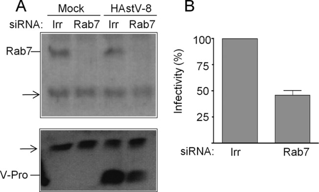 FIG 6