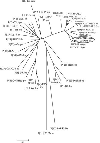 FIG. 2.