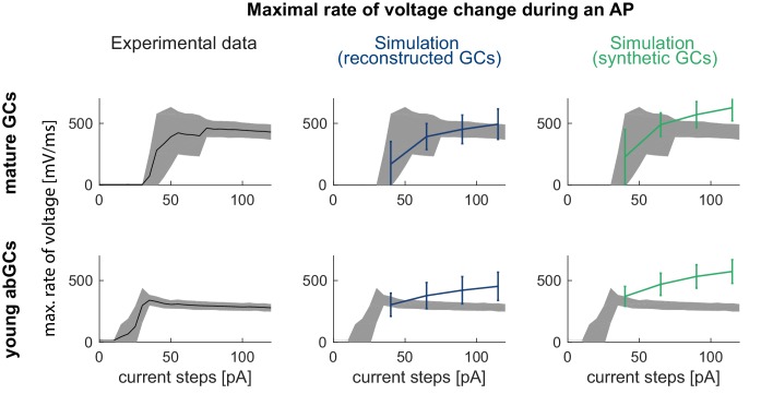 Figure 3—figure supplement 4.