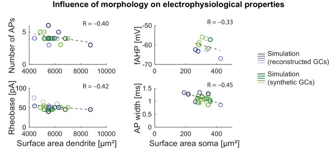 Figure 3—figure supplement 2.