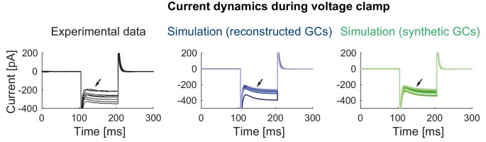 Figure 3—figure supplement 3.